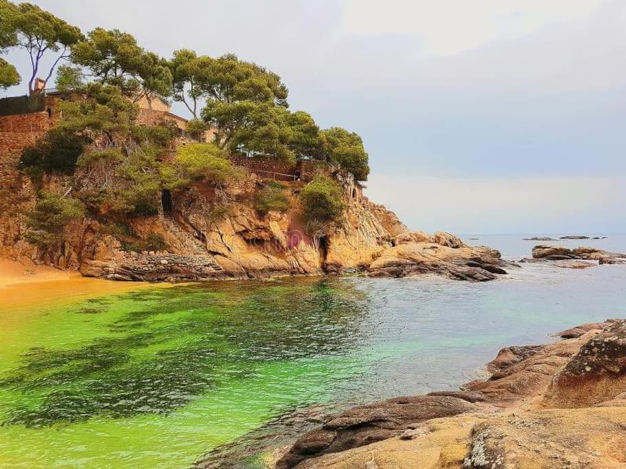 Apartamento Platja D 'Aro, 5 Camas 2 Dormitorios Platja d'Aro Exteriör bild